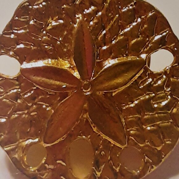 Gold-tone Sand Dollar Pin - Picture 1 of 3